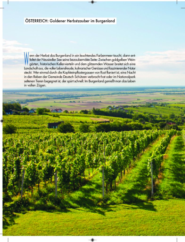 Neusiedlersee_REISEfieber Herbst 2025